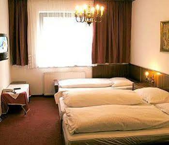 Hotel-restaurant-cafe Sophienalpe 3* Viena