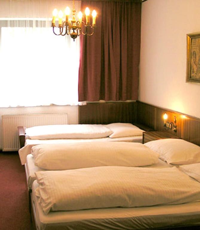 Hotel-restaurant-cafe Sophienalpe Hotel Viena