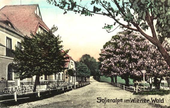 Hotel Hotel-restaurant-cafe Sophienalpe Viena
